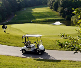 Keowee Key golf cart path and green